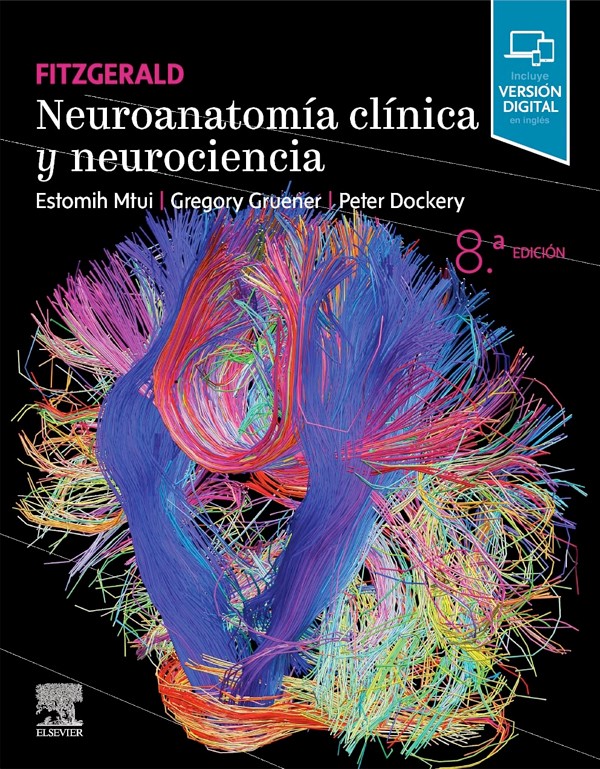 Neuroanatomía clínica y neurociencia 8ª Ed.