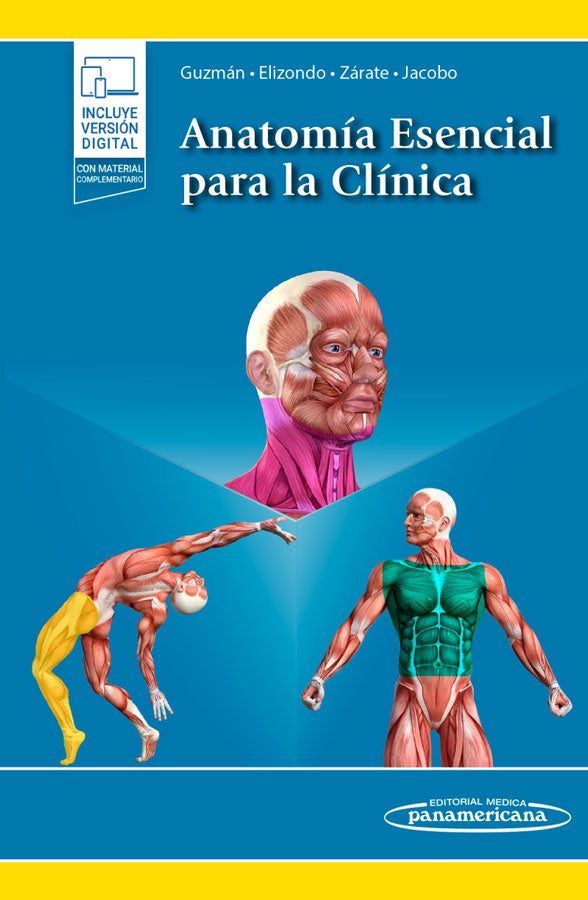 Anatomía esencial para la clínica