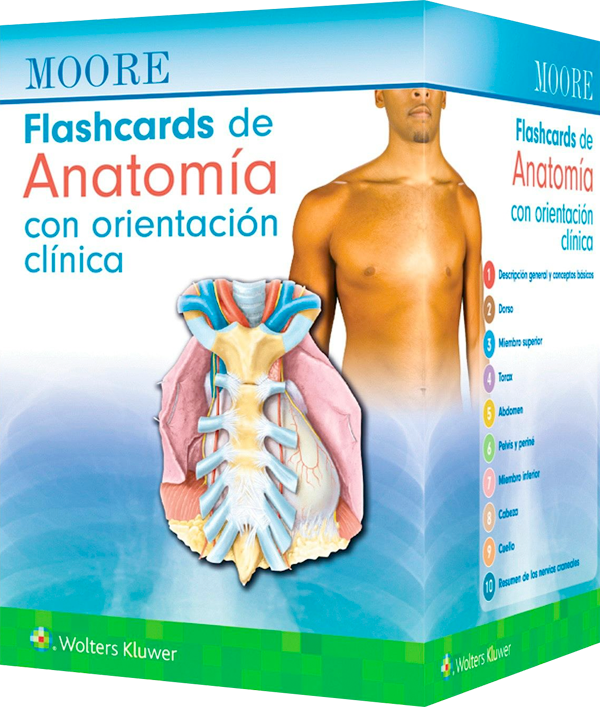 Moore. Flashcards de Anatomía con orientación clínica