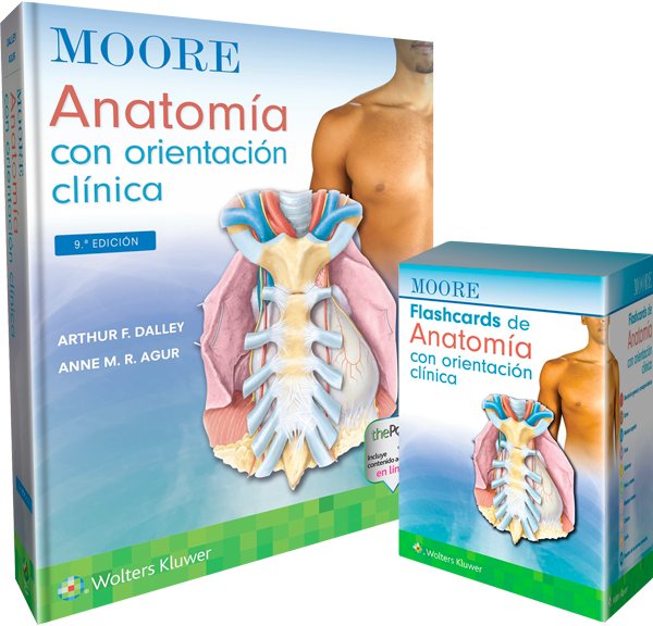 Pack de Estudio Avanzado de Anatomía Clínica