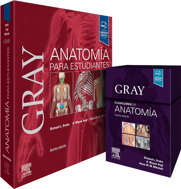 Pack de Estudio y Práctica Gray