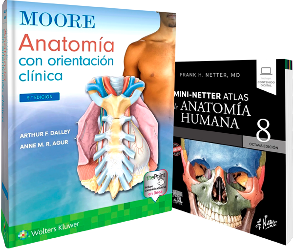 Pack de Anatomía Avanzada: Moore & Netter