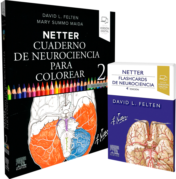 Pack de Neurociencia: Aprendizaje y Memorización