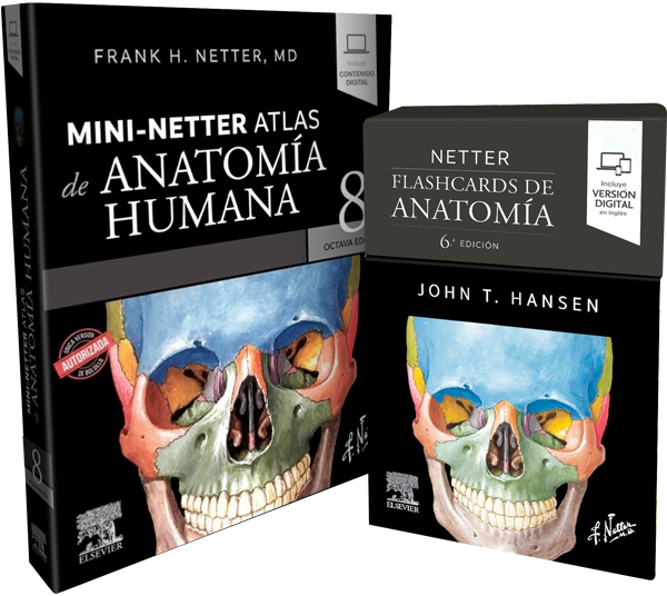 Pack de Estudio Esencial de Anatomía Netter