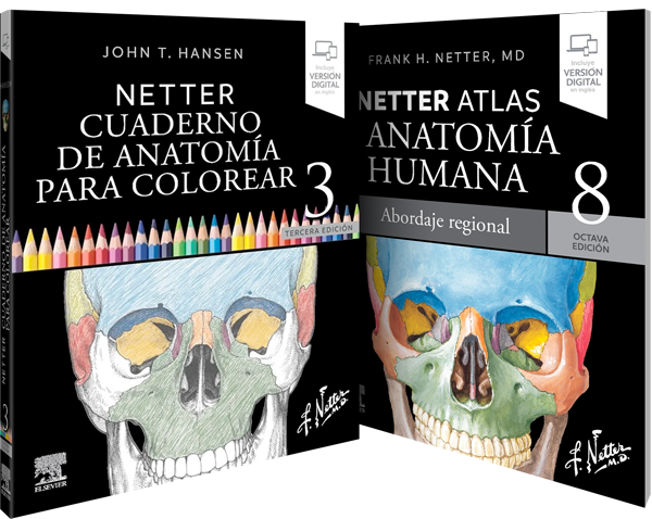 Pack de Dominio Integral de Anatomía Netter