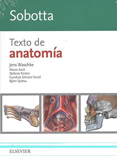 Texto de Anatomía