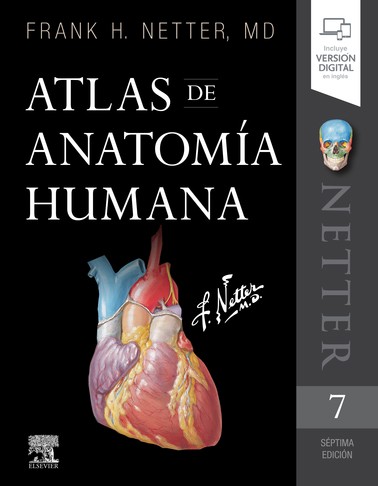 Netter. Atlas de anatomía...