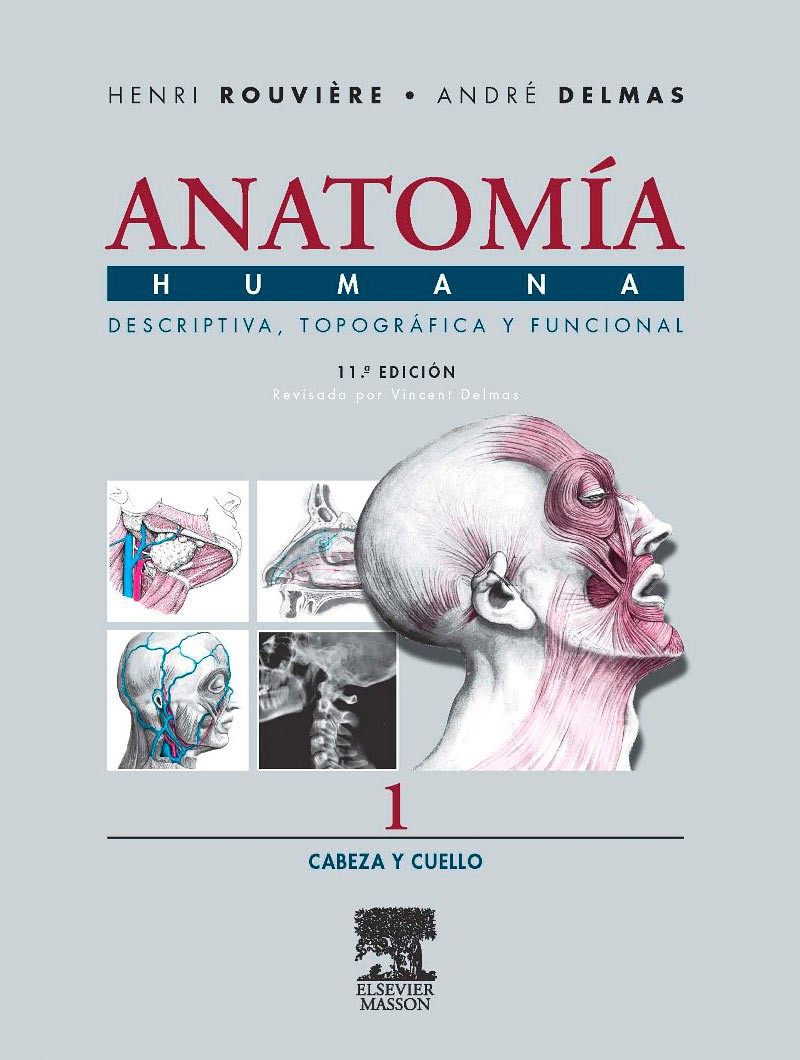 Anatomía Humana....