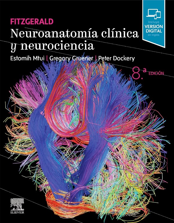 Neuroanatomía clínica y...