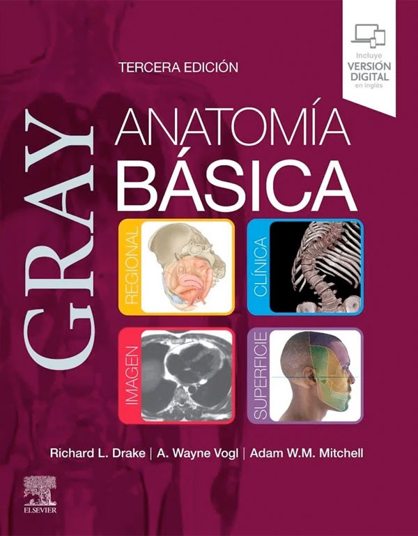 Gray. Anatomía básica 3ª Ed.