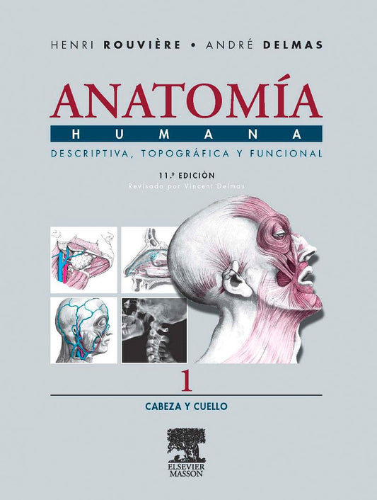 Anatomía Humana. Descriptiva, Topográfica y Funcional. Tomo 1: Cabeza Y Cuello