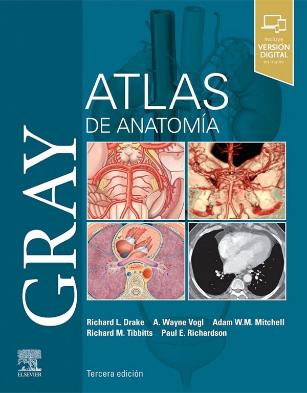 Gray. Atlas de anatomía 3ª Ed.