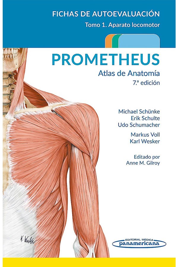 Prometheus. Atlas de anatomía 7ª Ed. Fichas de autoevaluación Tomo 1: Aparato locomotor