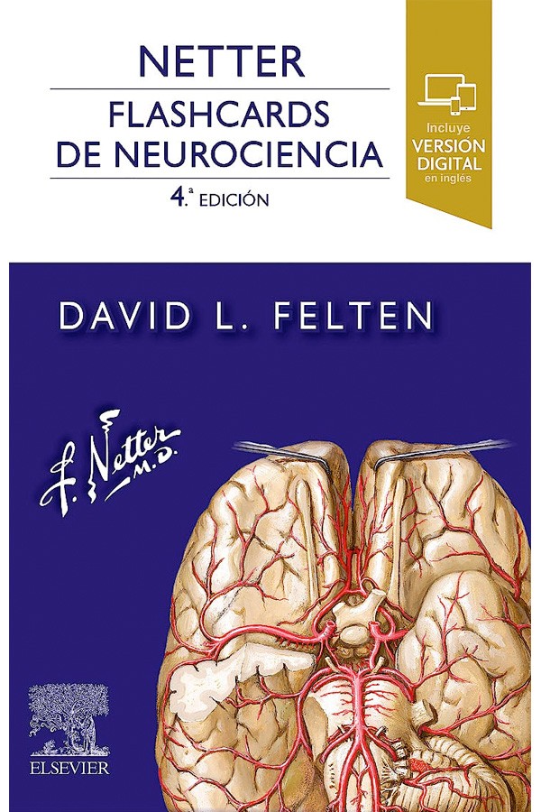 Netter. Flashcards de neurociencia 4ª Ed.