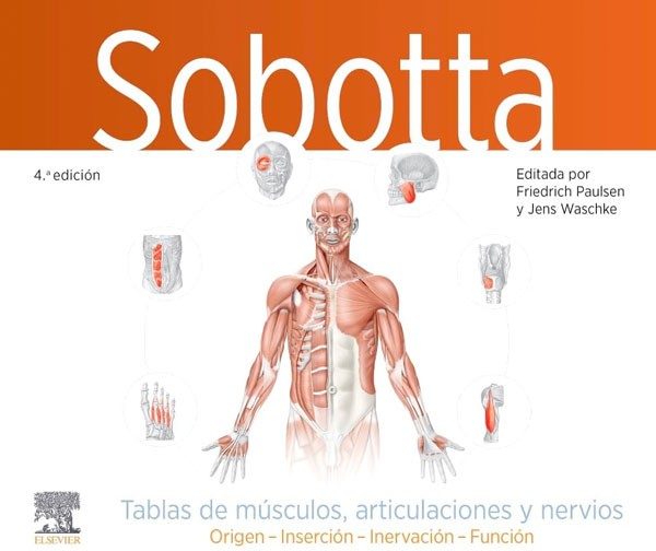 Sobotta. Tablas de músculos, articulaciones y nervios 4ª Ed.