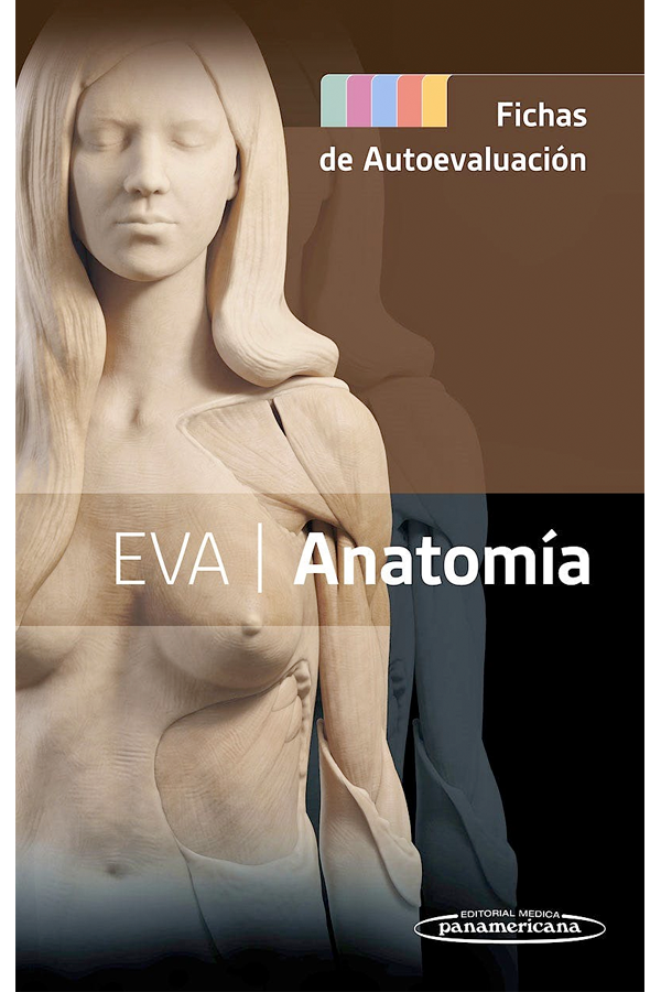 Eva Anatomía. Fichas de autoevaluación