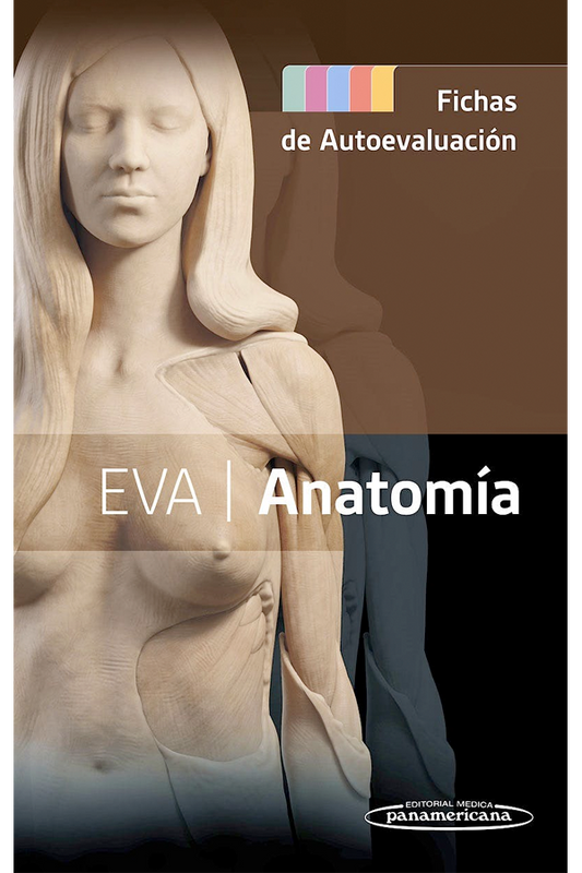 Eva Anatomía. Fichas de autoevaluación