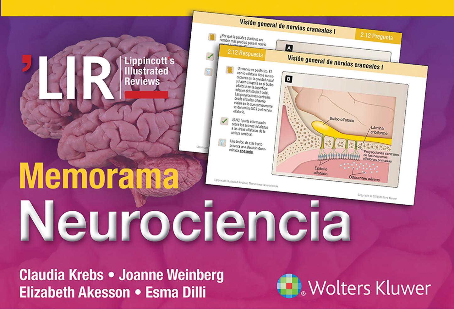 Memorama Neurociencia