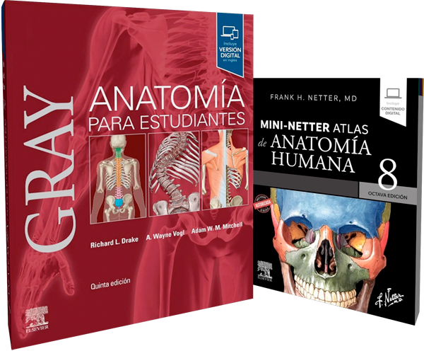 Pack de Anatomía Gray & Netter